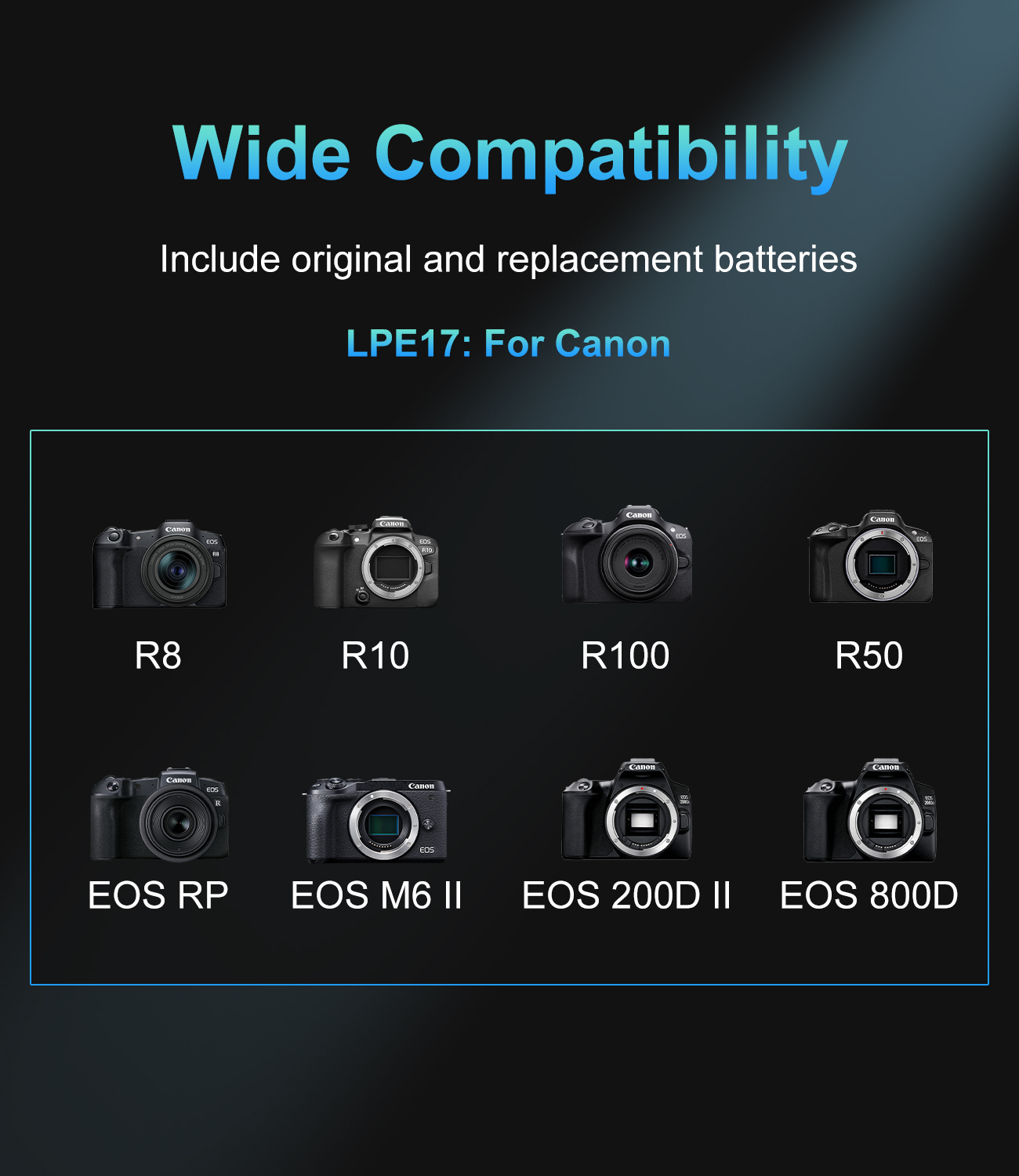 Зарядное устройство PD с двумя – обзор и цена Canon Camera Eos R8